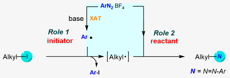 Ժ�L���P���ڈF���Nature Communications